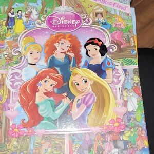 Disney Princess Book with Pink, Purple and Blue Cover Art